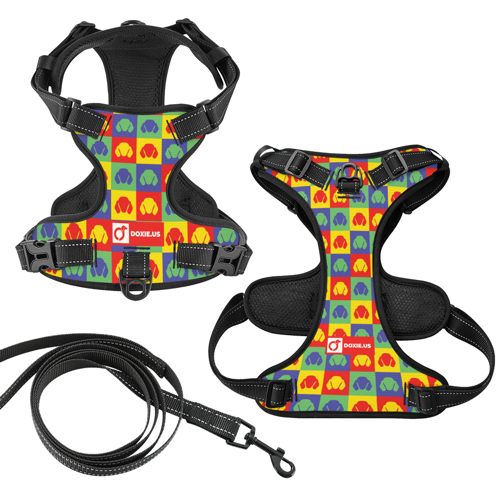 Chili - No-Pull Dachshund Dog Harness