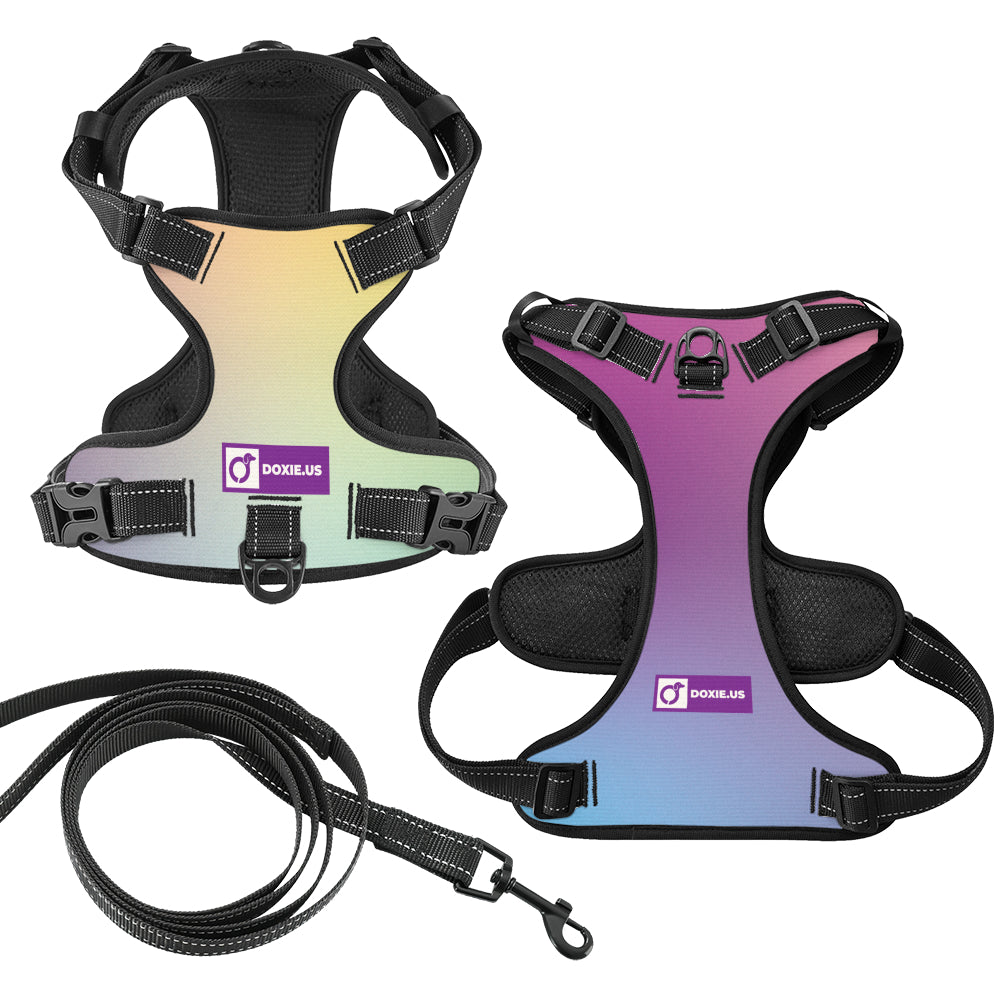 Simone - No-Pull Dachshund Dog Harness