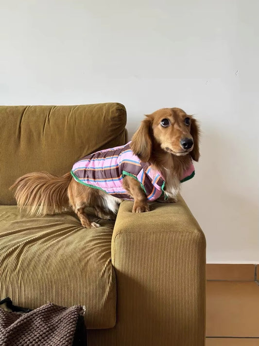 Dachshund Winter Jacket – Warm Cotton Rainbow Stripe Jacket