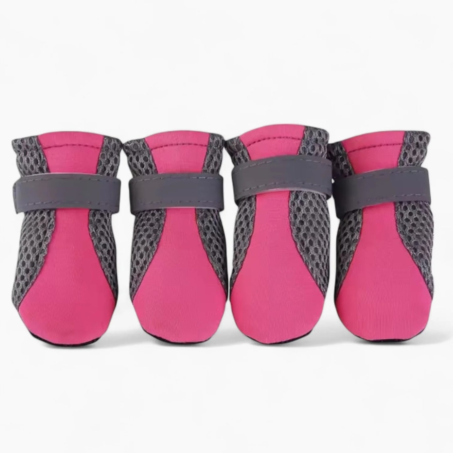 AirPaws-Dachshund-Reflective-Shoes.jpg