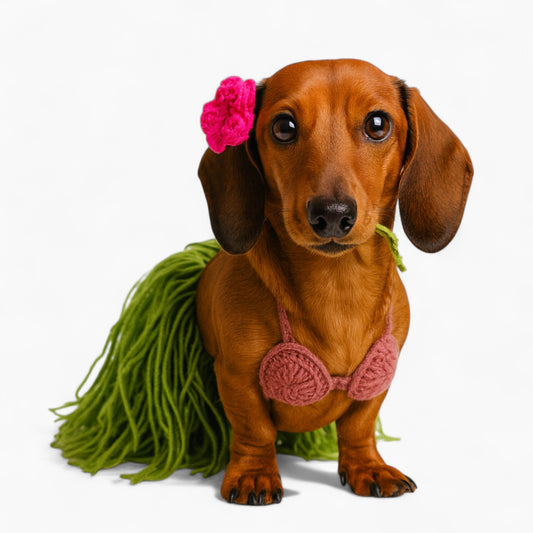AlohaPaws-Dachshund-Hula-Costume.jpg