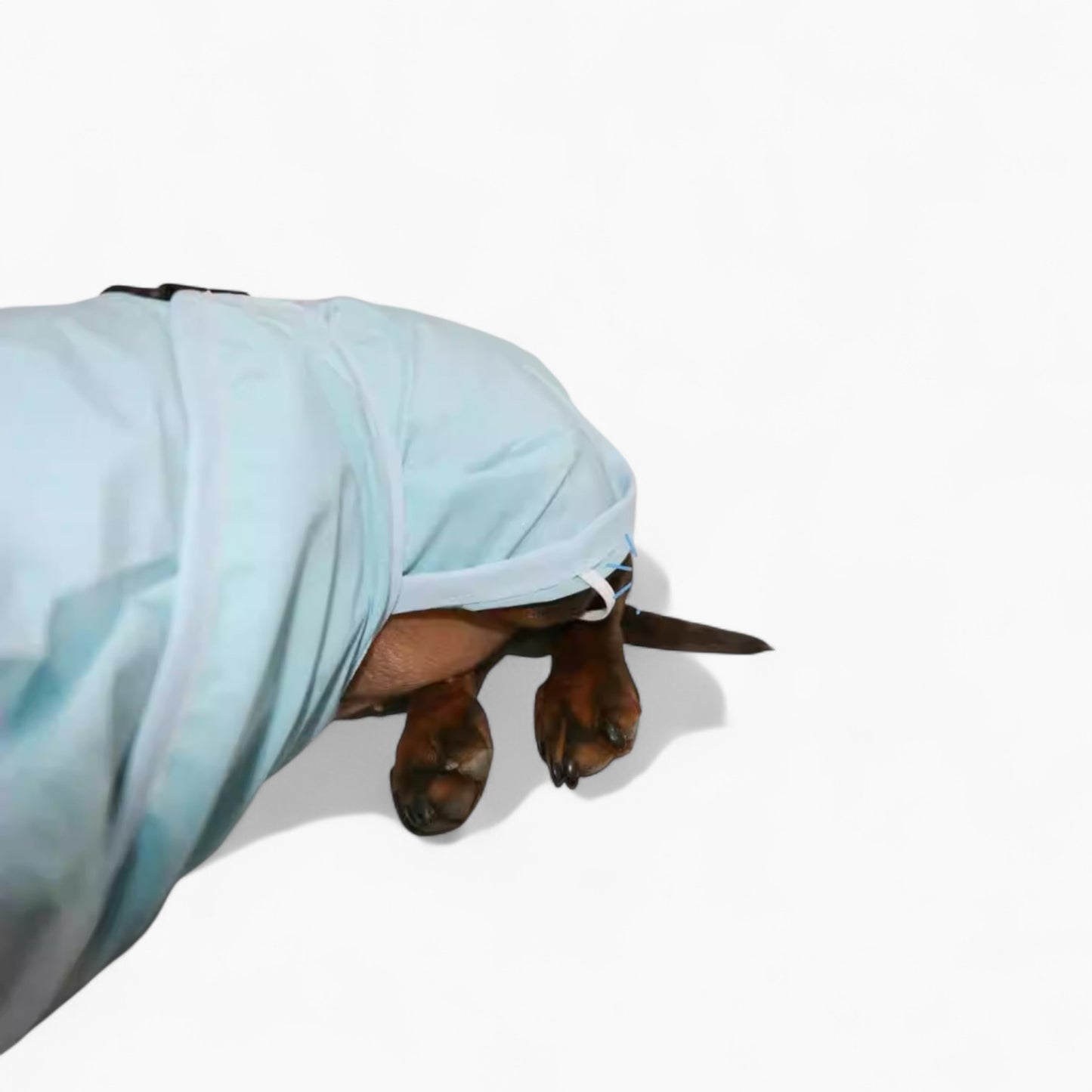 AquaDox-Dachshund-Hooded-Raincoat.jpg