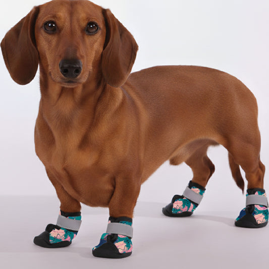 Odin – Premium Dachshund Winter Booties