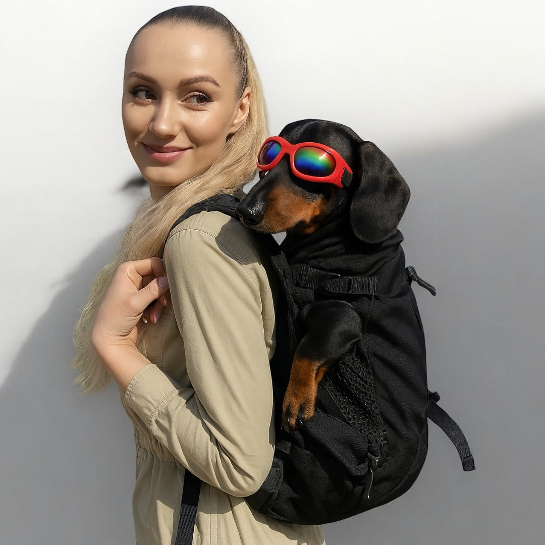 Backpack-Carrier-for-Dachshunds