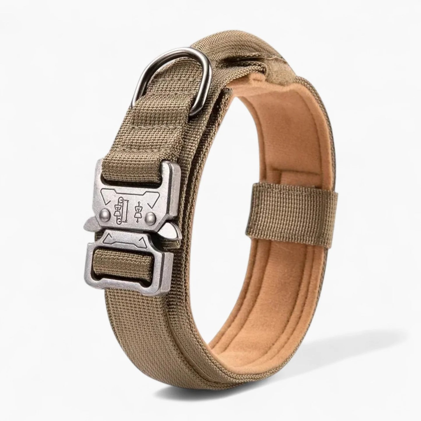BarkOps-Dachshund-Tactical-Collar.jpg