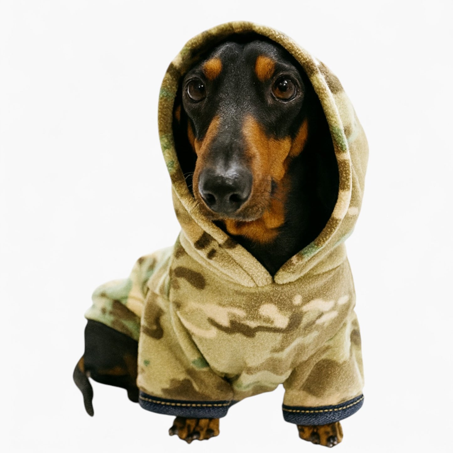 BarkWear-Dachshund-Camo-Hoodie.jpg