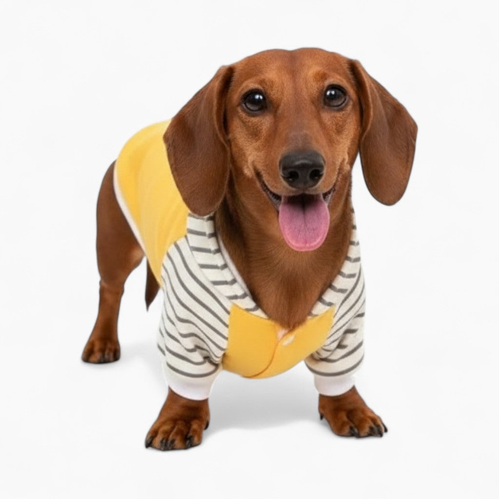 Barkana-Dachshund-Hooded-Sweatshirt.jpg
