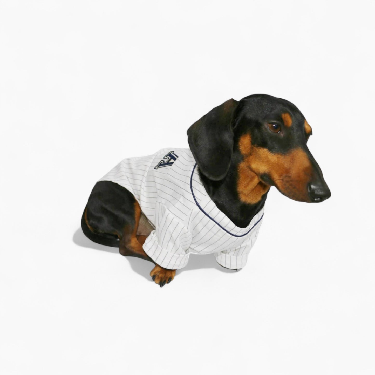 BasePup-Dachshund-Baseball-Jersey.jpg