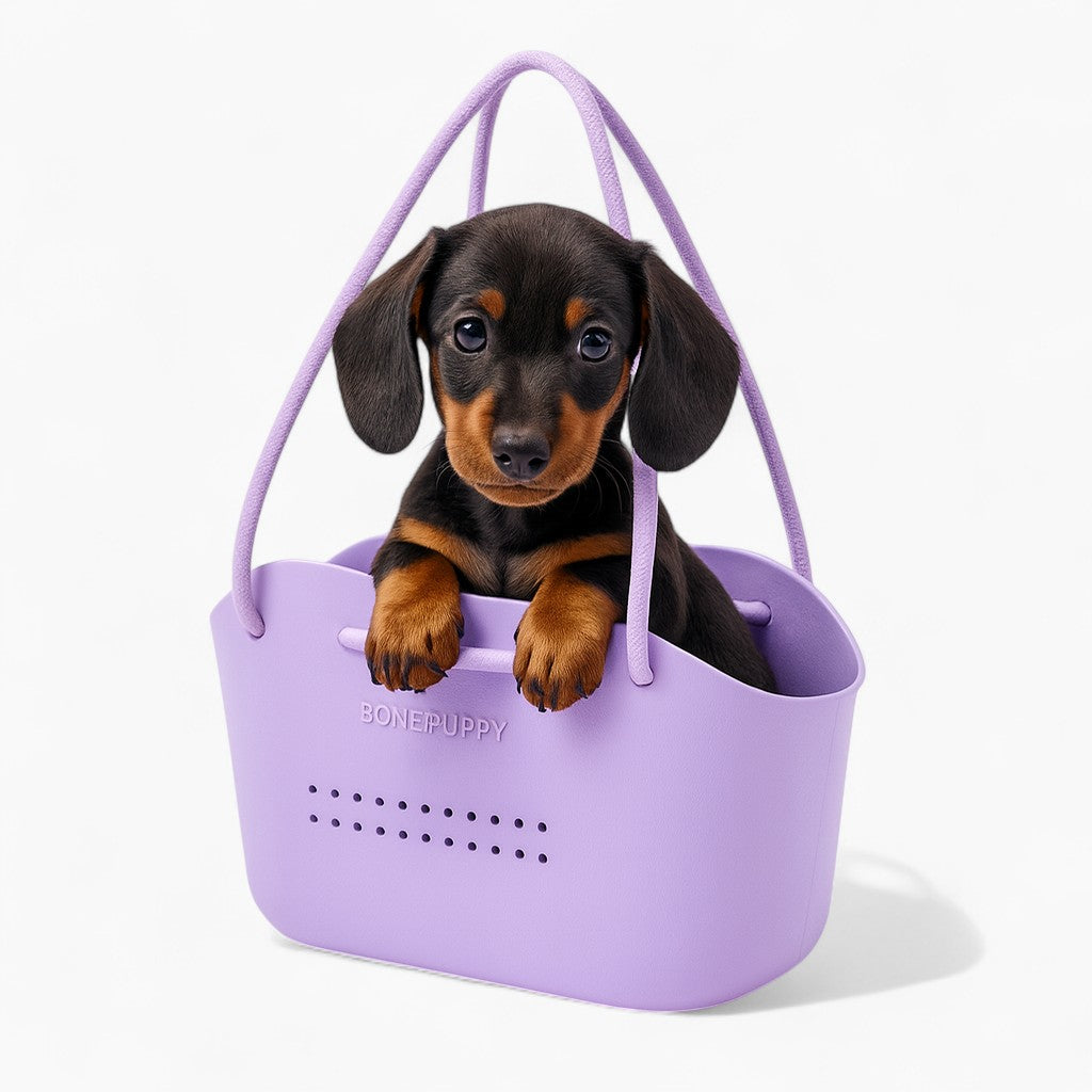 BonePup-Dachshund-Portable-Carrier.jpg