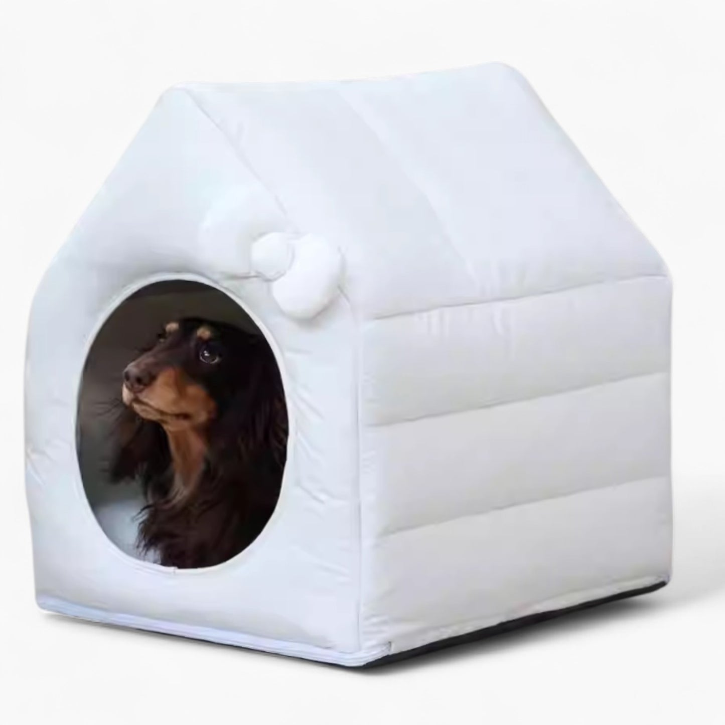 BowCotton-Dachshund-House.jpg