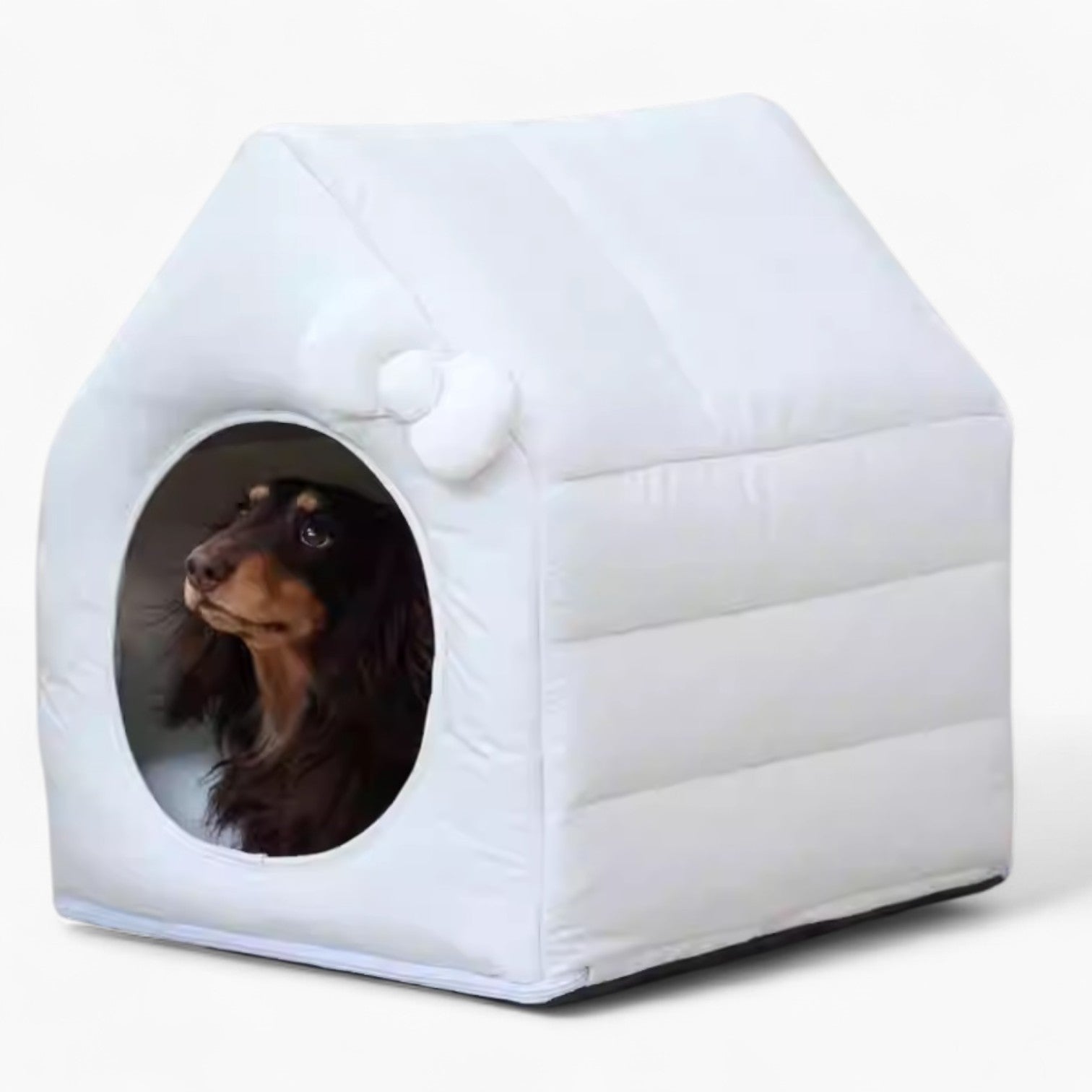 BowCotton-Dachshund-House.jpg