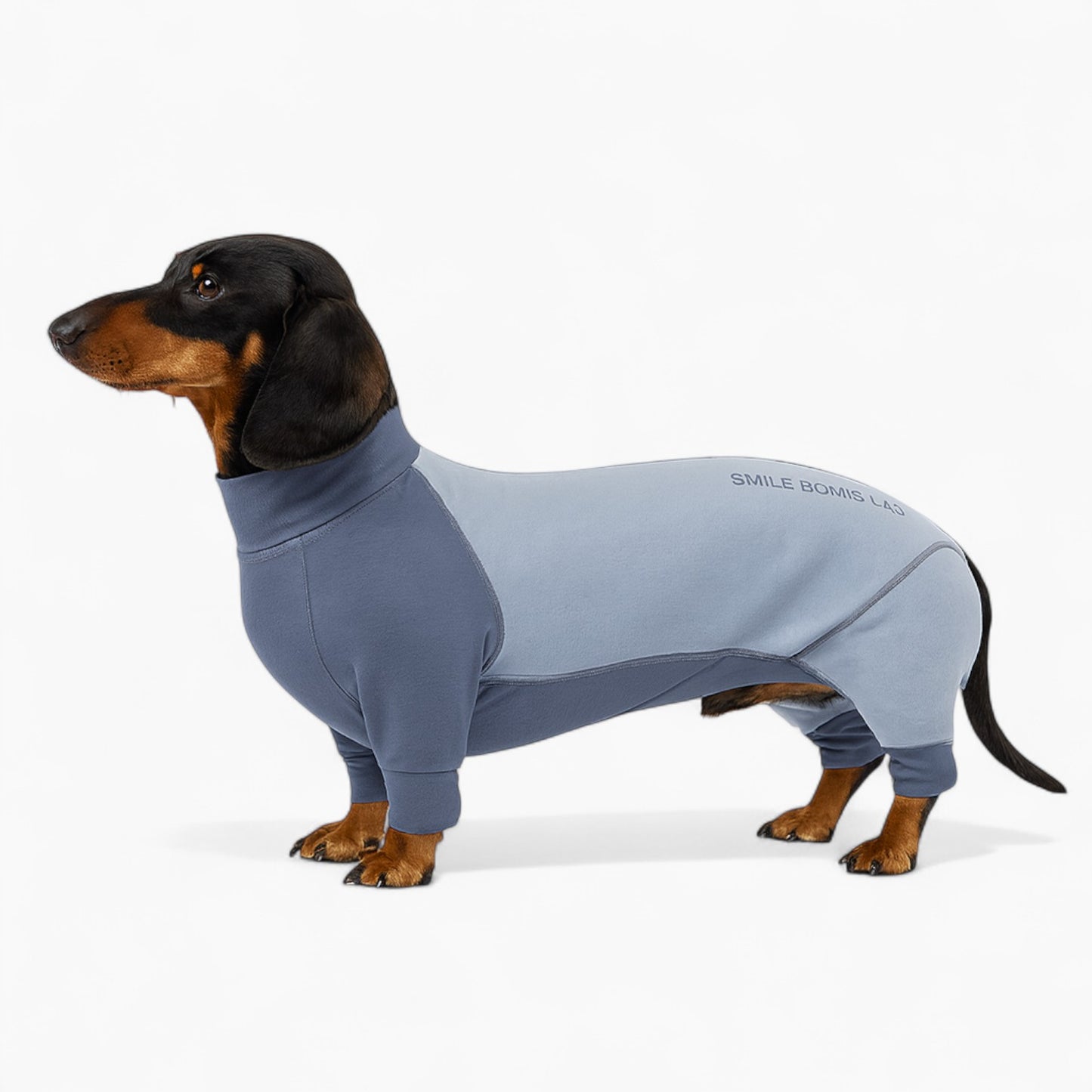 BugShield-Dachshund-Protective-Suit.jpg