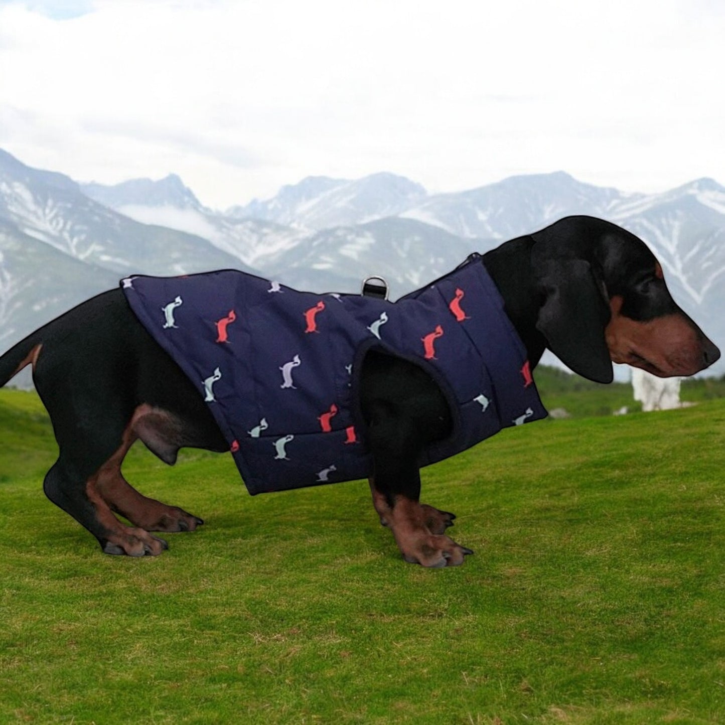 Dachshund Zipper Vest Windproof Winter Jacket