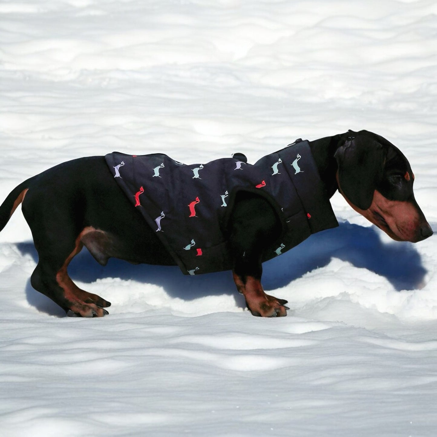 Dachshund Zipper Vest Windproof Winter Jacket