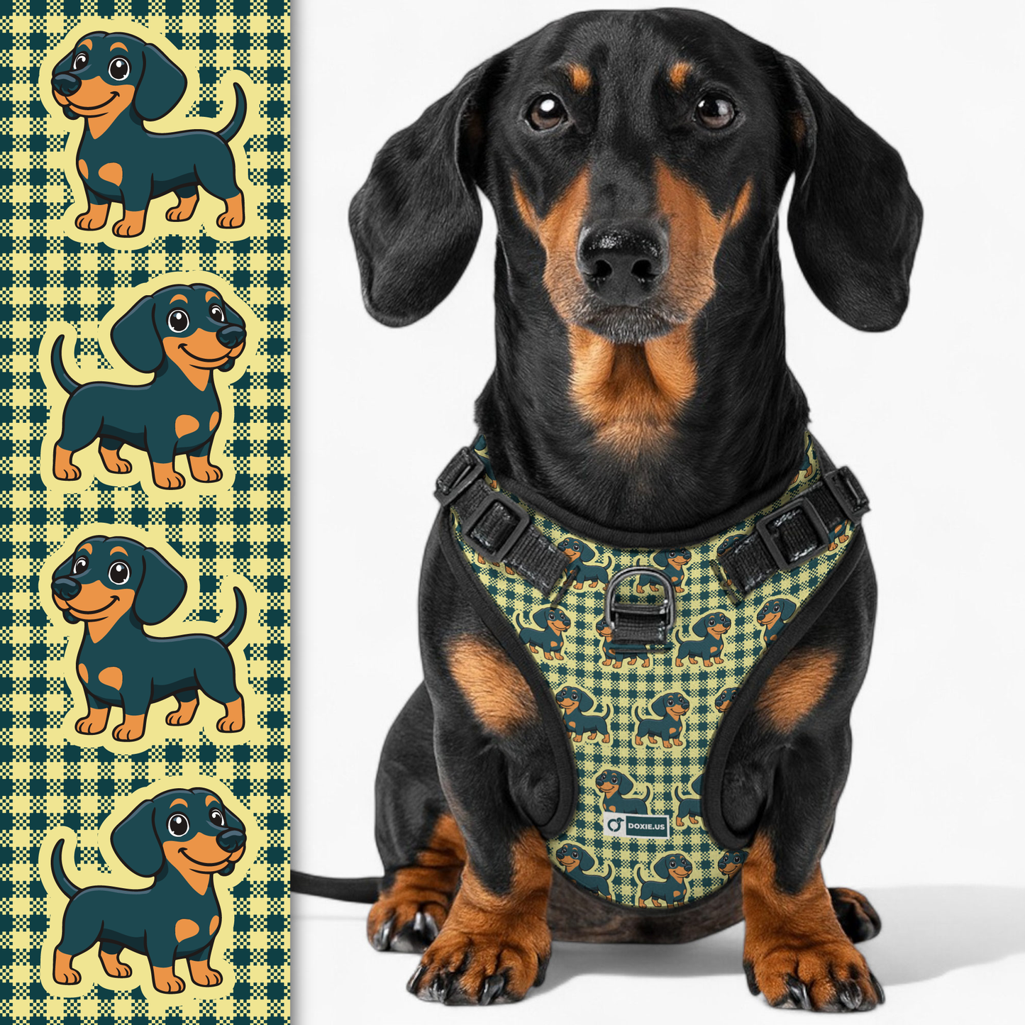 Snickers - No-Pull Dachshund Dog Harness