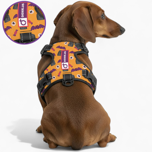 Maggie -  No-Pull Dachshund Dog Harness