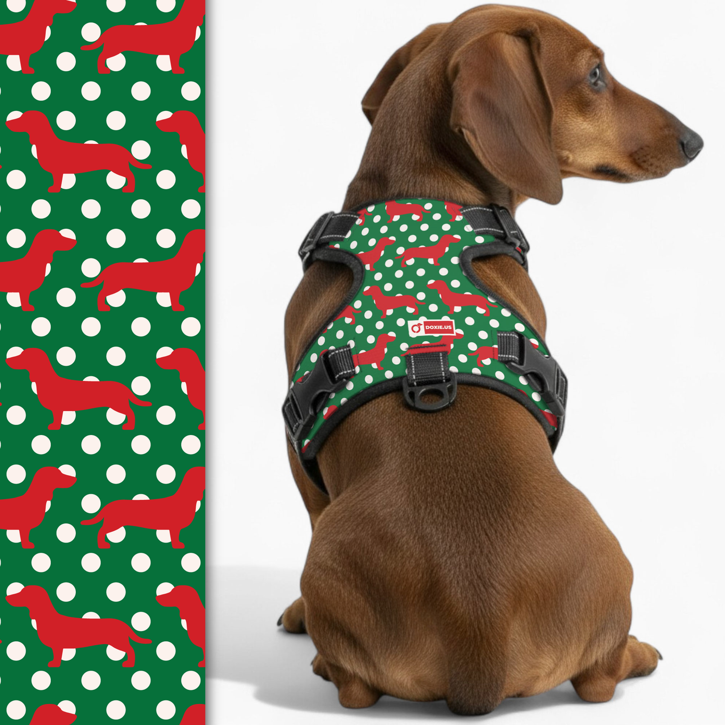 Carly - No-Pull Dachshund Dog Harness