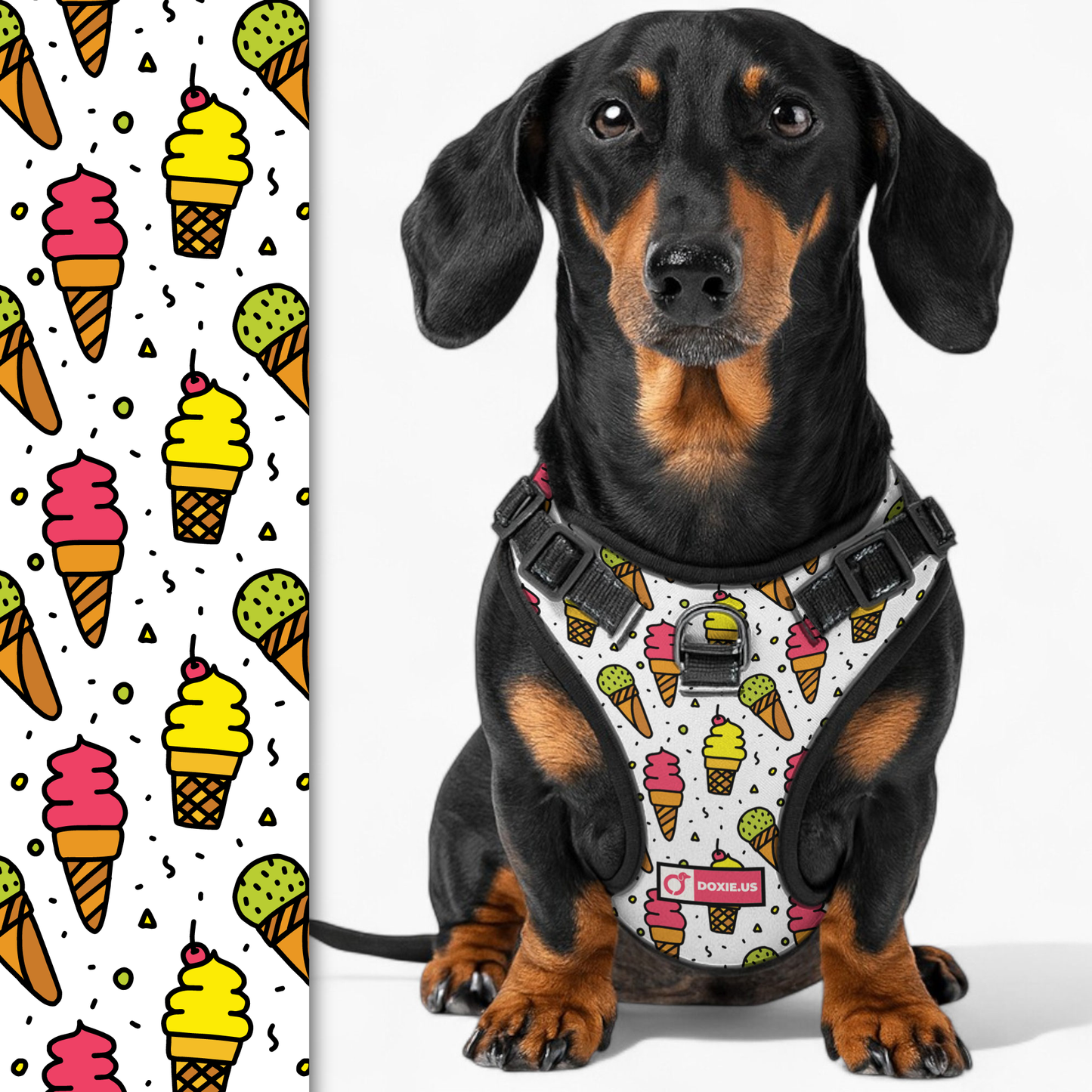 Frank - No-Pull Dachshund Dog Harness