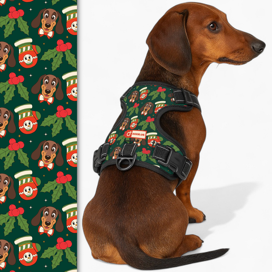 Bailey -  No-Pull Dachshund Dog Harness