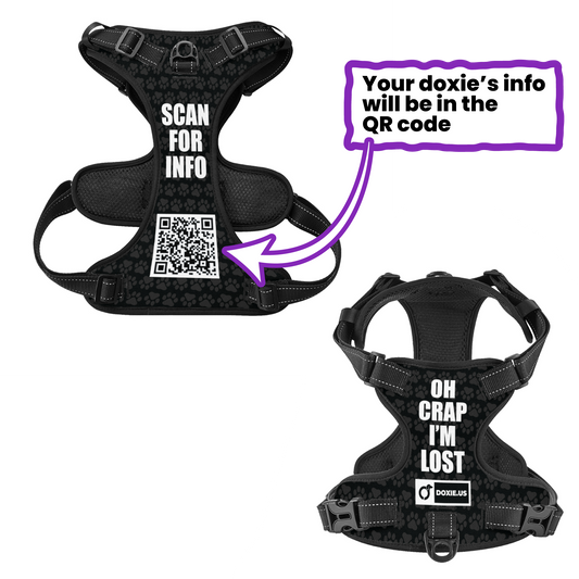 Cloud  -  Personalized No-Pull Dachshund Dog Harness