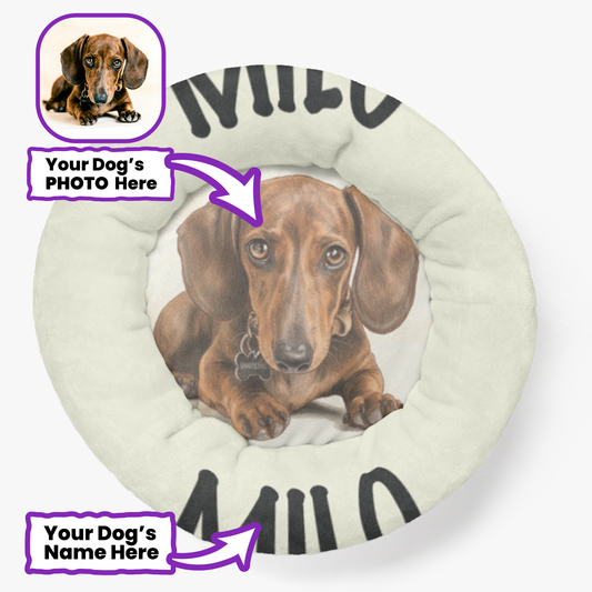 Hector  - Personalized Cloud-Comfort Large Dachshund Bed | Anti-Anxiety Donut Bed for Dachshunds