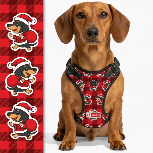 Tom -  No-Pull Dachshund Dog Harness