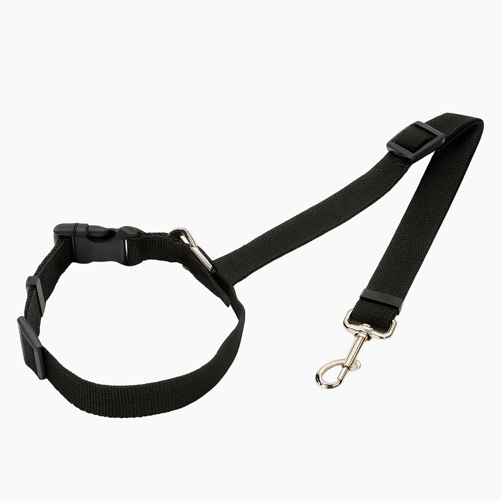 SafePaw-Dachshund-Car-Seat-Belt.jpg