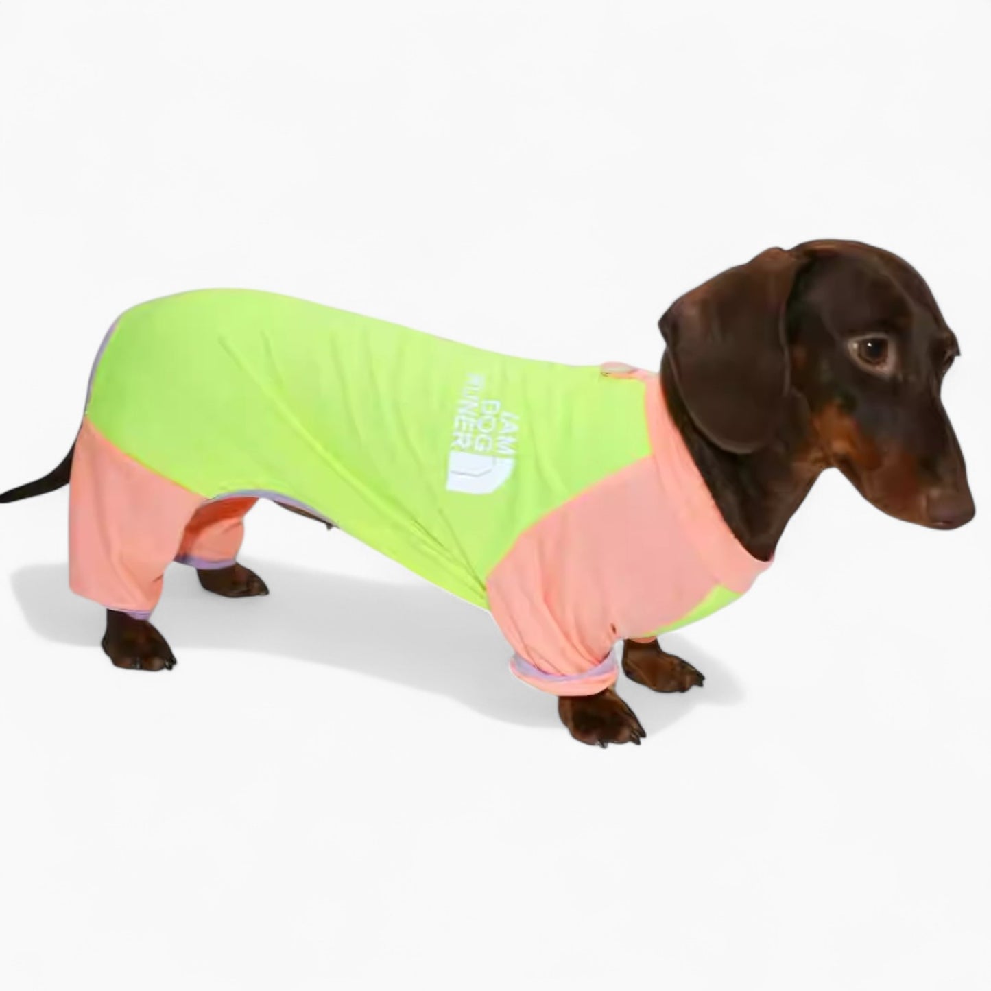 CoolPup-Dachshund-Summer-Suit.jpg