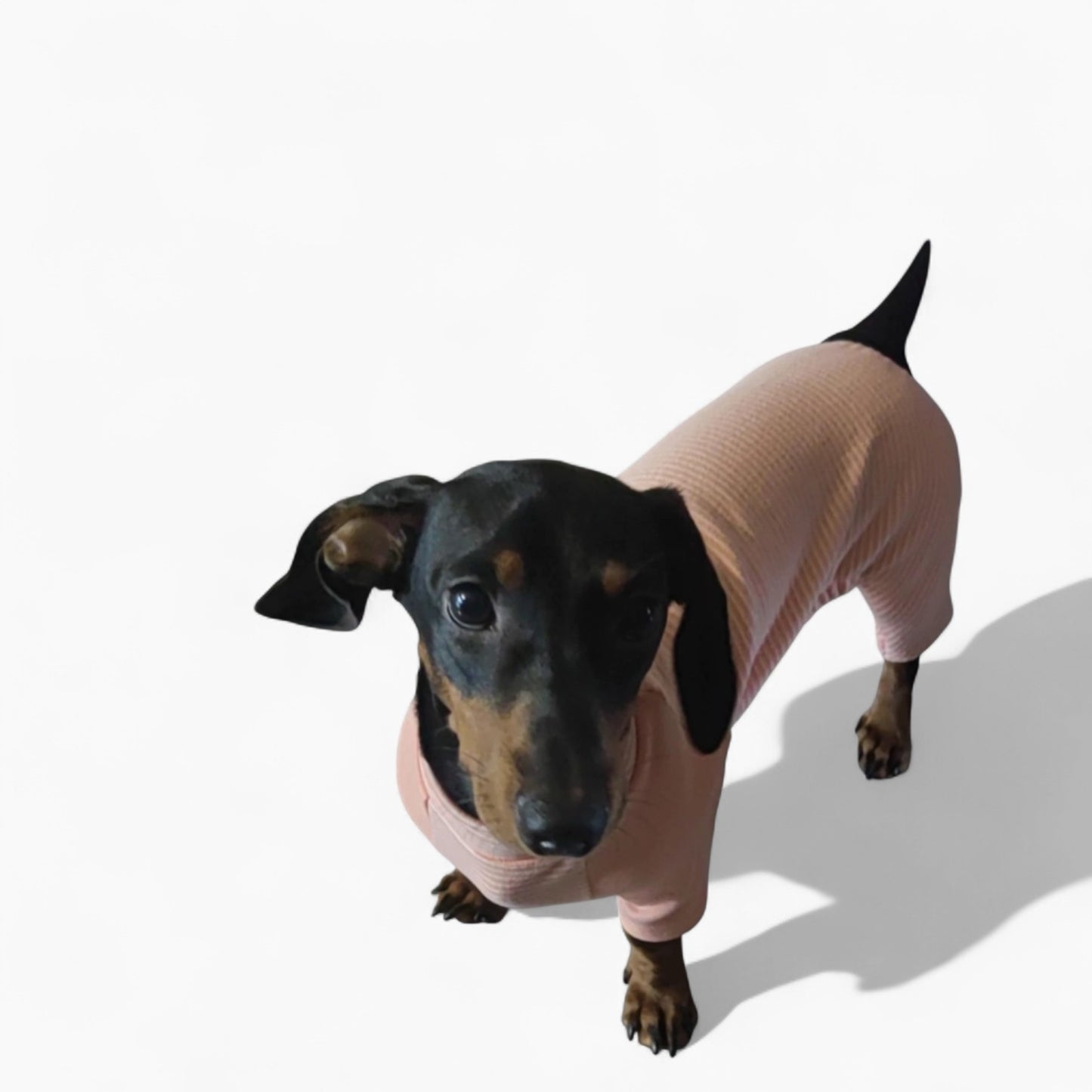 CozyStripe-Dachshund-Striped-Pajamas.jpg