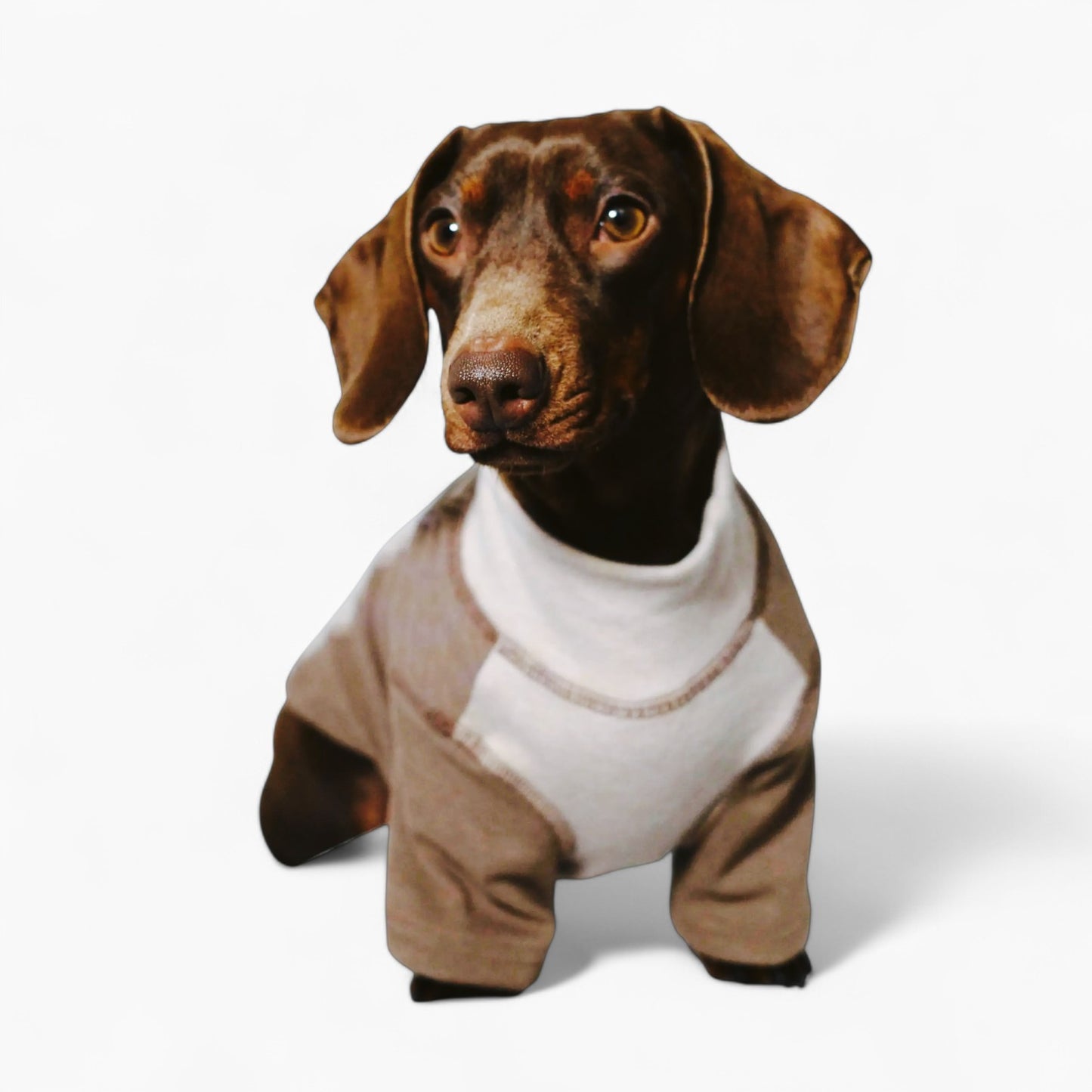 CozyTail-Dachshund-High-Neck-Shirt.jpg