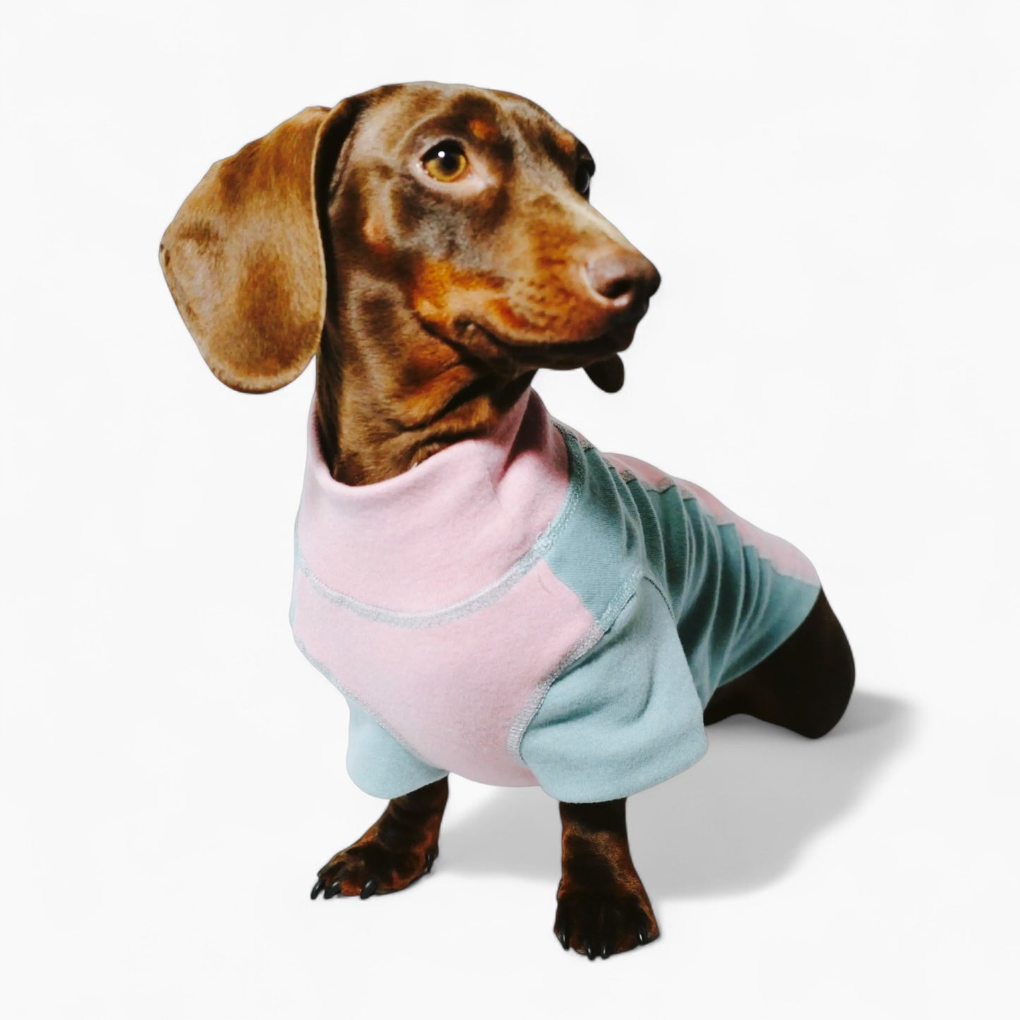 CozyTail-Dachshund-High-Neck-Shirt.jpg