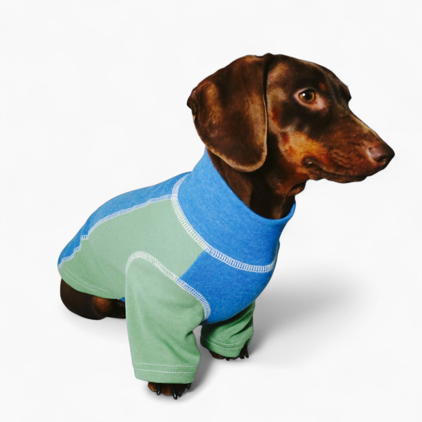 CozyTail-Dachshund-High-Neck-Shirt.jpg