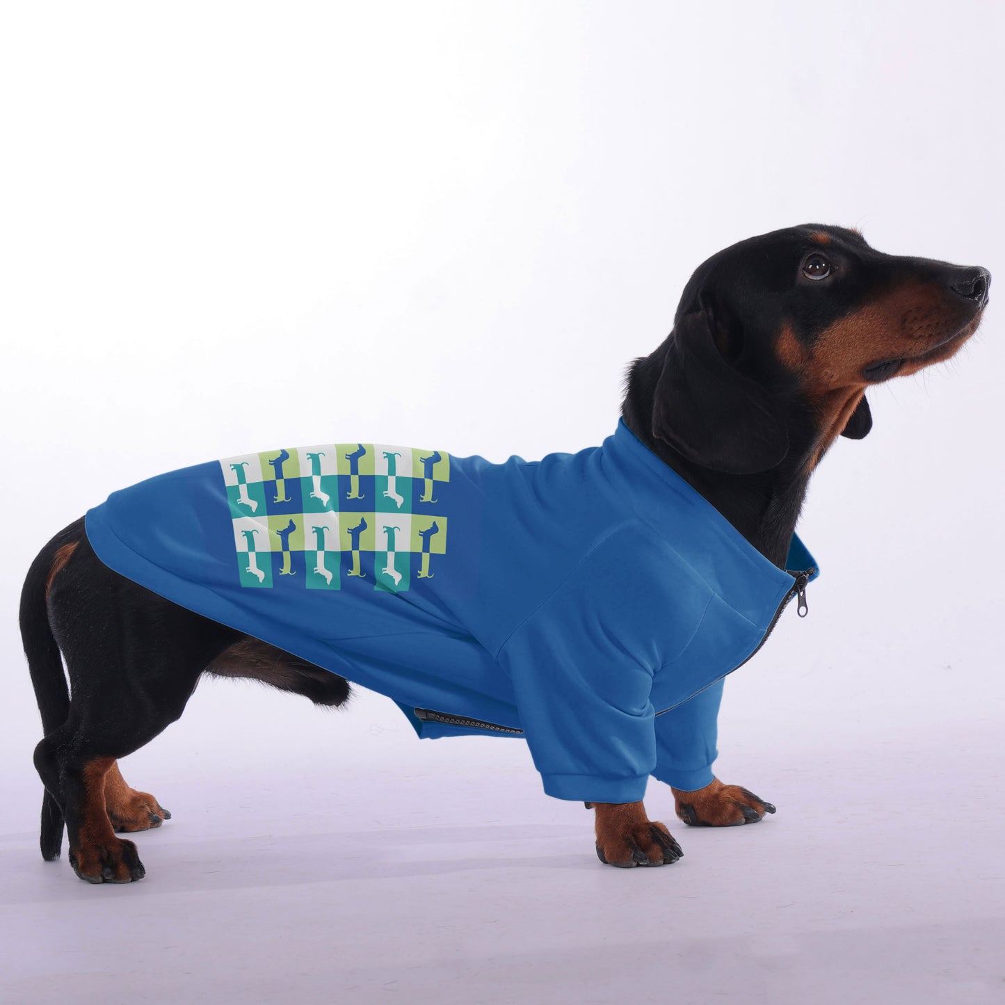 Max - zip-up hooded sweatshirt for dachshund