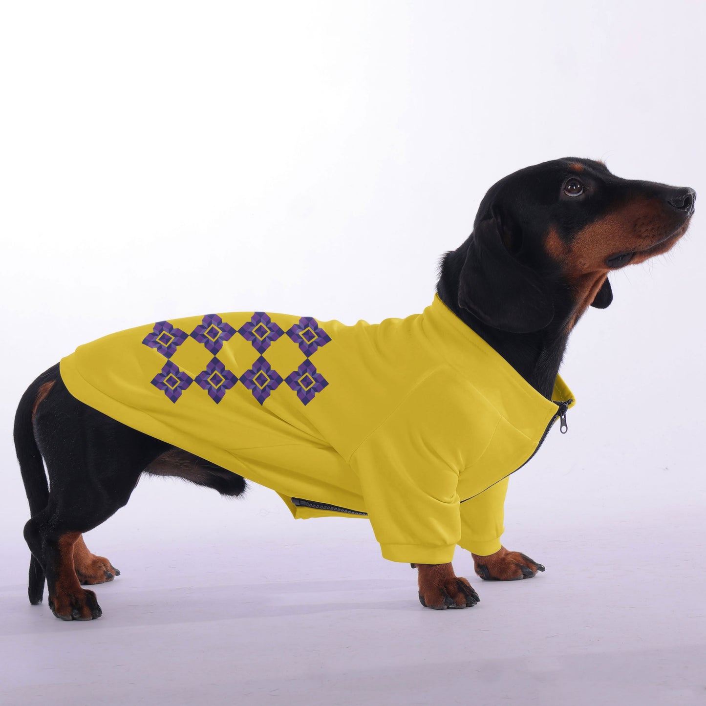 Ludwig- zip-up hooded sweatshirt for dachshund