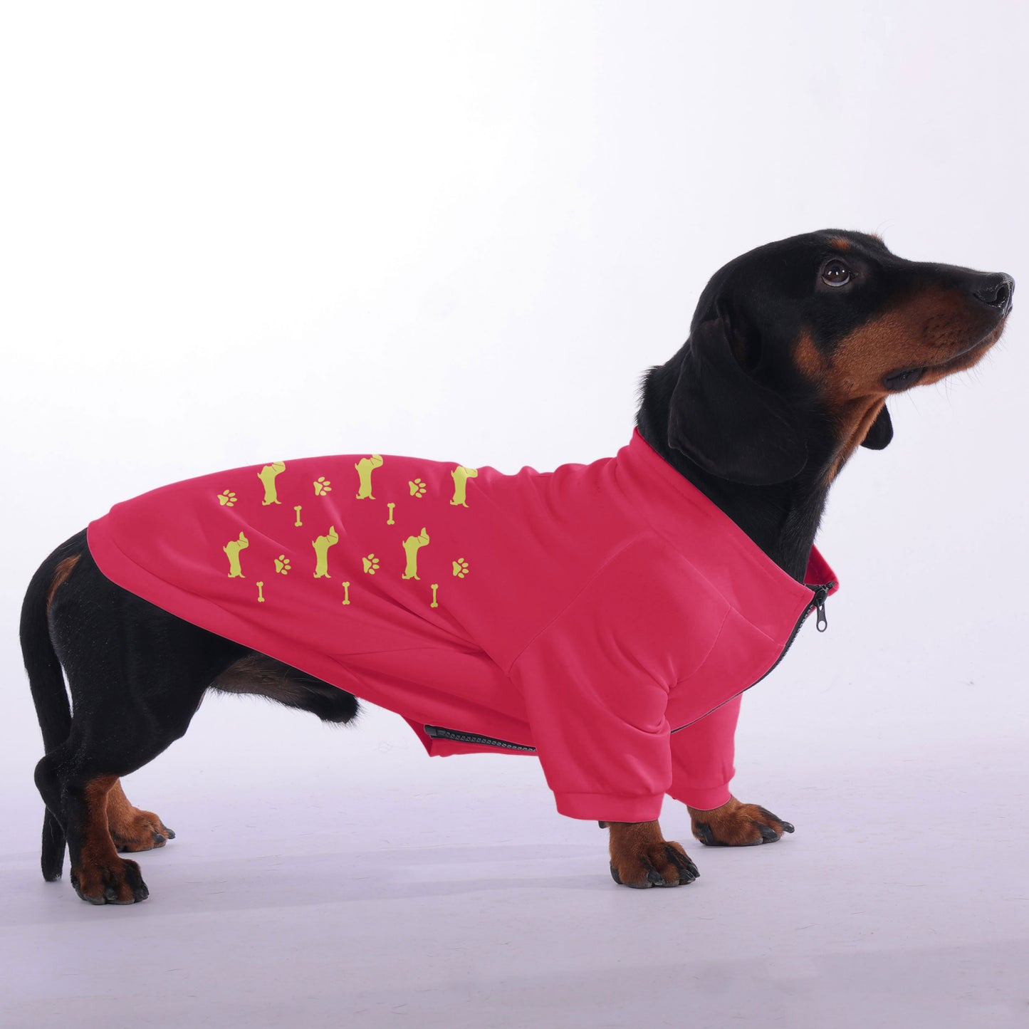 Ace - zip-up hooded sweatshirt for dachshund