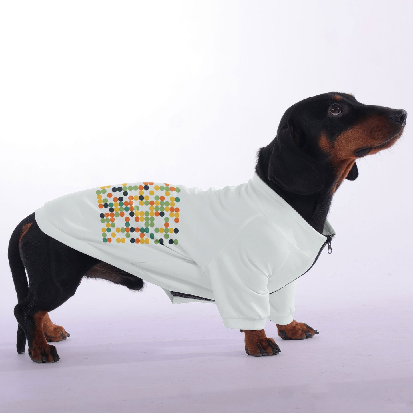 Lulu - zip-up hooded sweatshirt for dachshund