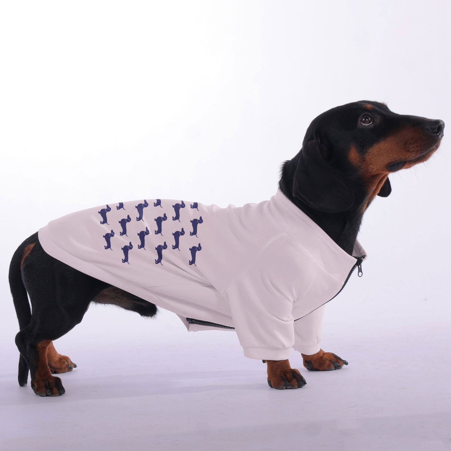 Milo - zip-up hooded sweatshirt for dachshund