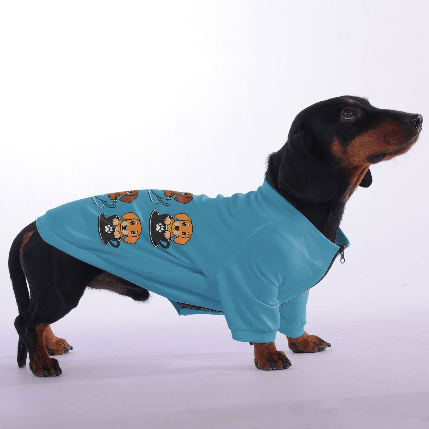 Schnitzel - zip-up hooded sweatshirt for dachshund