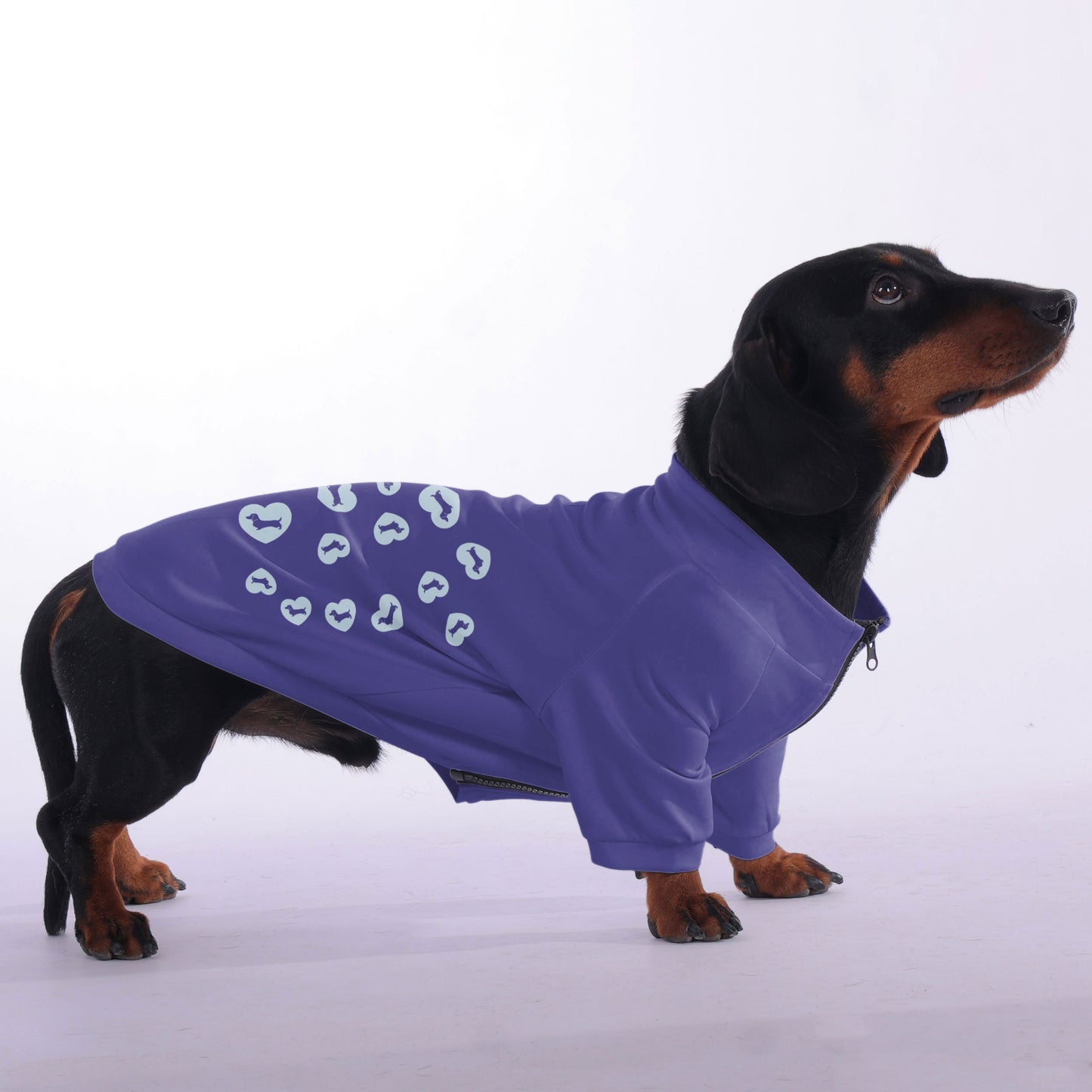 Kate - zip-up hooded sweatshirt for dachshund