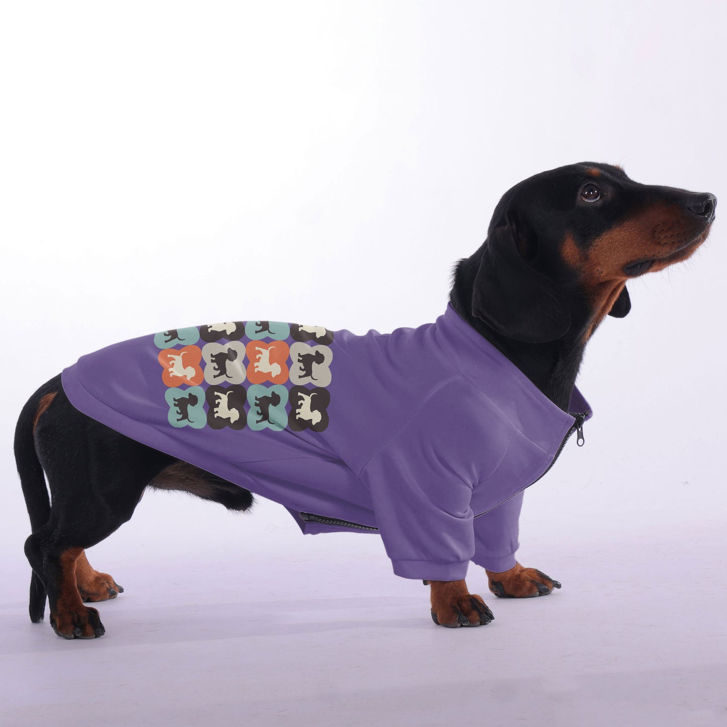 Carley - zip-up hooded sweatshirt for dachshund