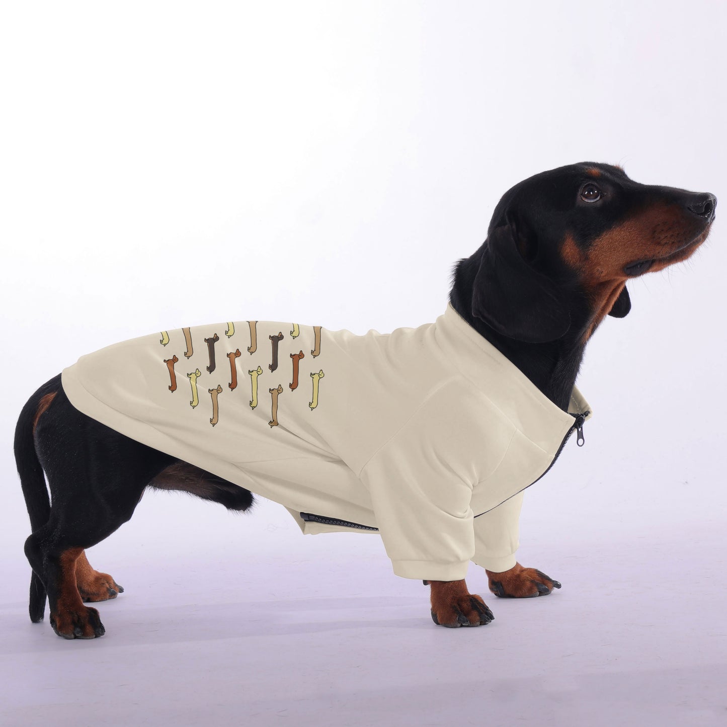 Taylor - zip-up hooded sweatshirt for dachshund