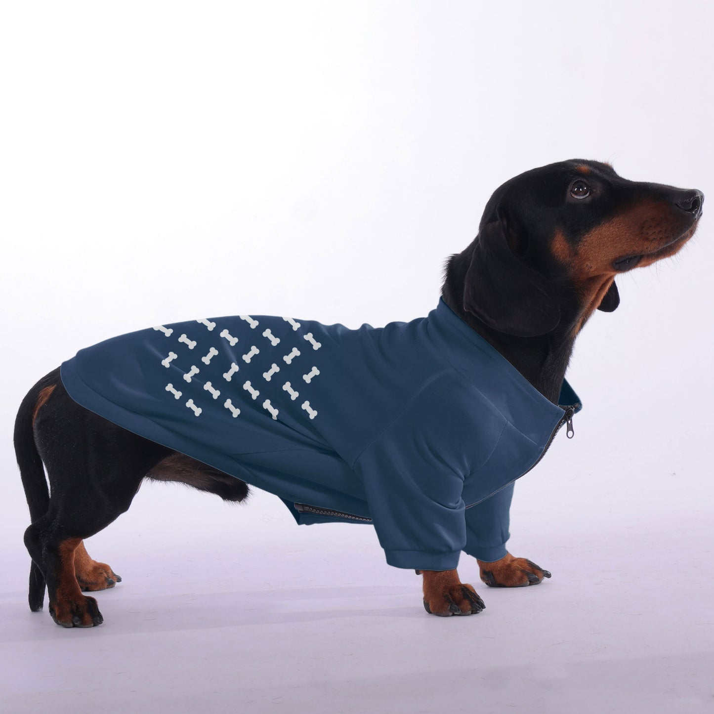 Buddy - zip-up hooded sweatshirt for dachshund
