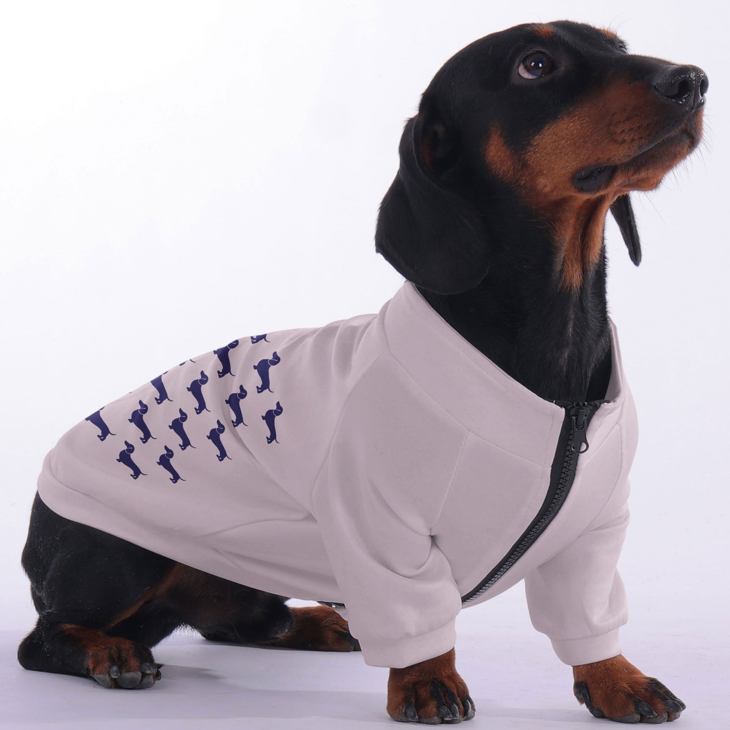 Milo - zip-up hooded sweatshirt for dachshund
