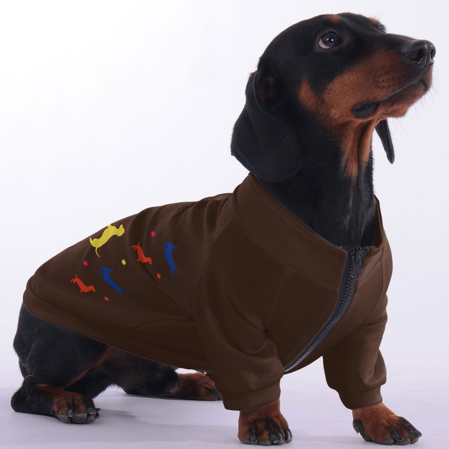 Penny- zip-up hooded sweatshirt for dachshund
