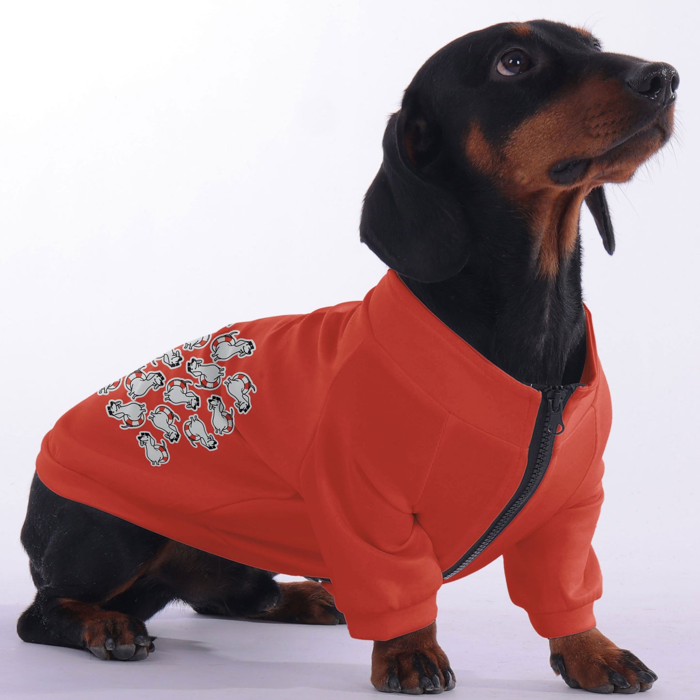 Frank - zip-up hooded sweatshirt for dachshund