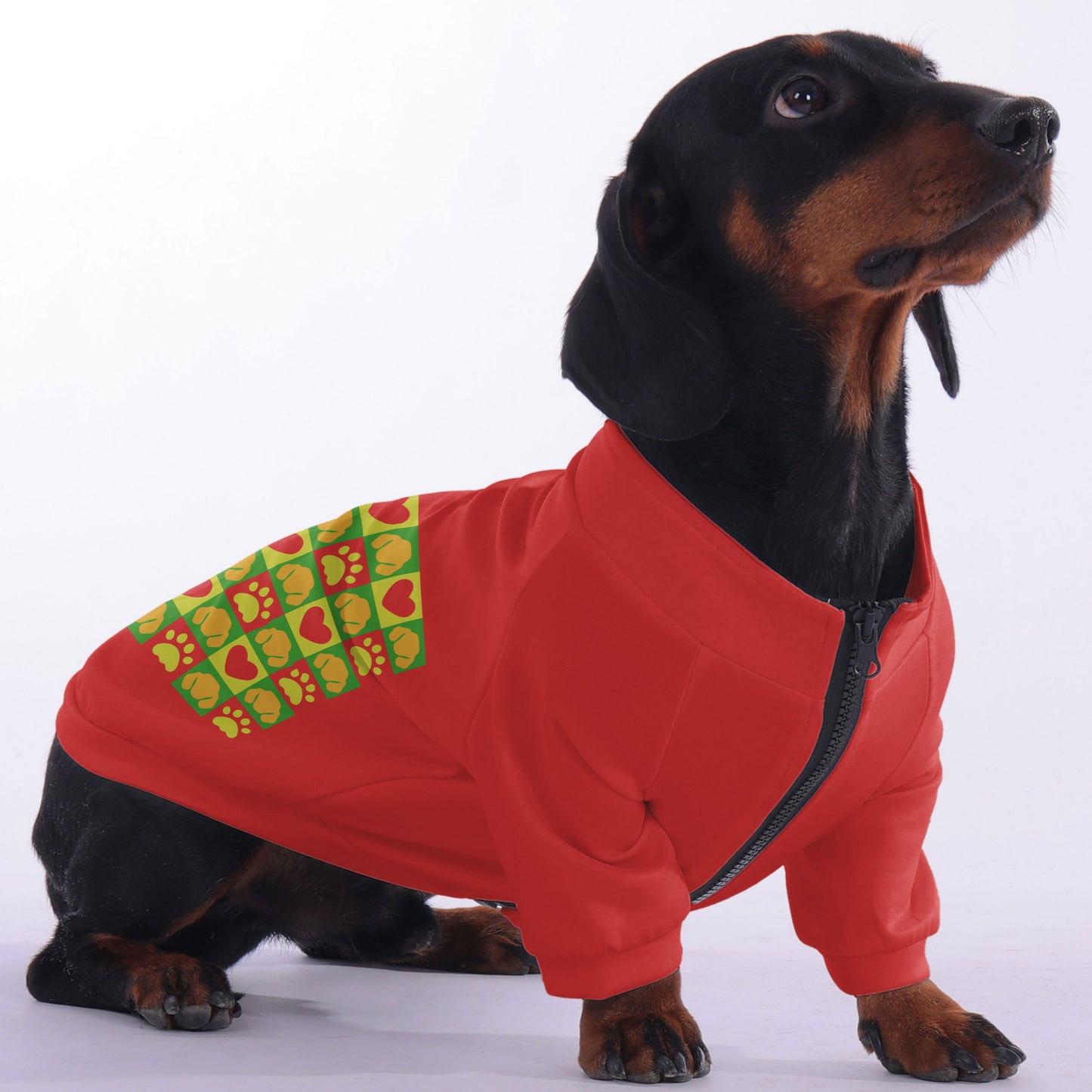 Bailey - zip-up hooded sweatshirt for dachshund