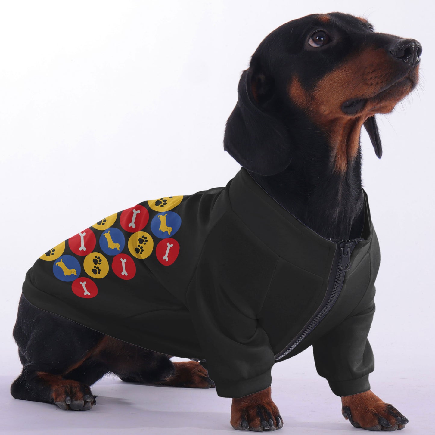 Indy - zip-up hooded sweatshirt for dachshund