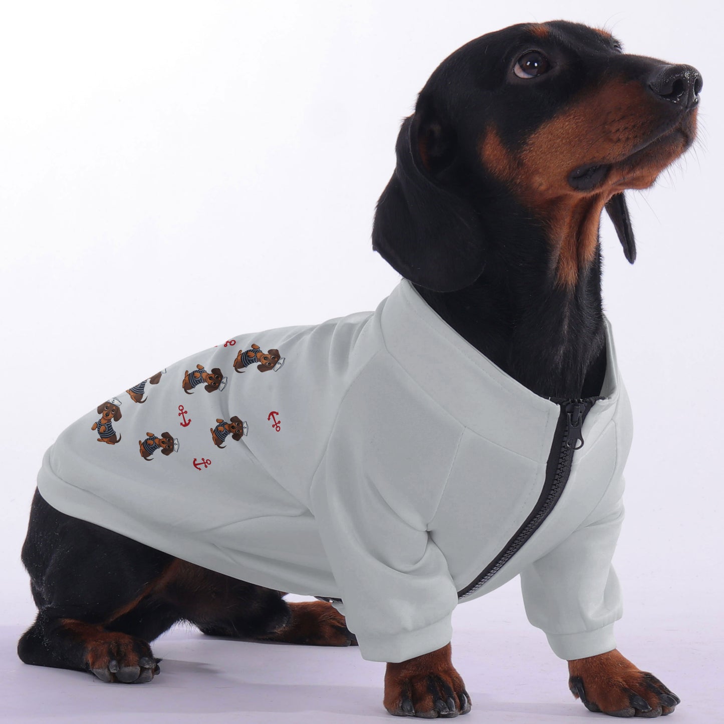 Trace - zip-up hooded sweatshirt for dachshund