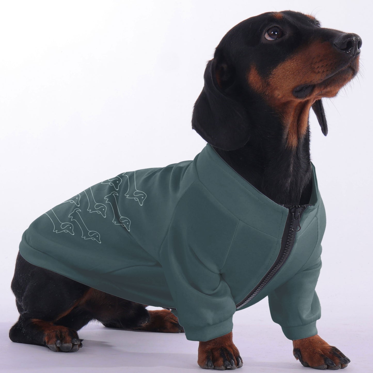 Rachel - zip-up hooded sweatshirt for dachshund