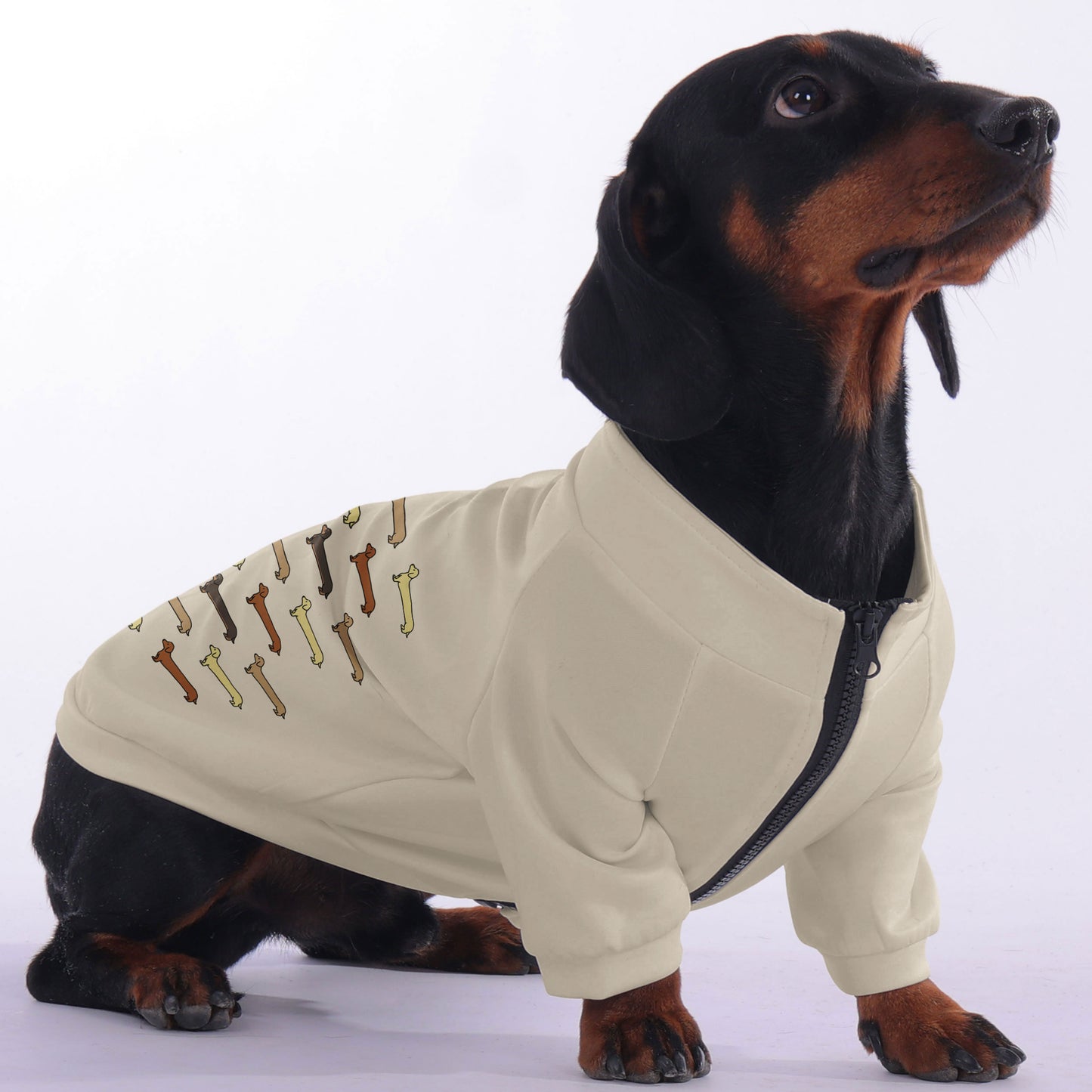 Taylor - zip-up hooded sweatshirt for dachshund